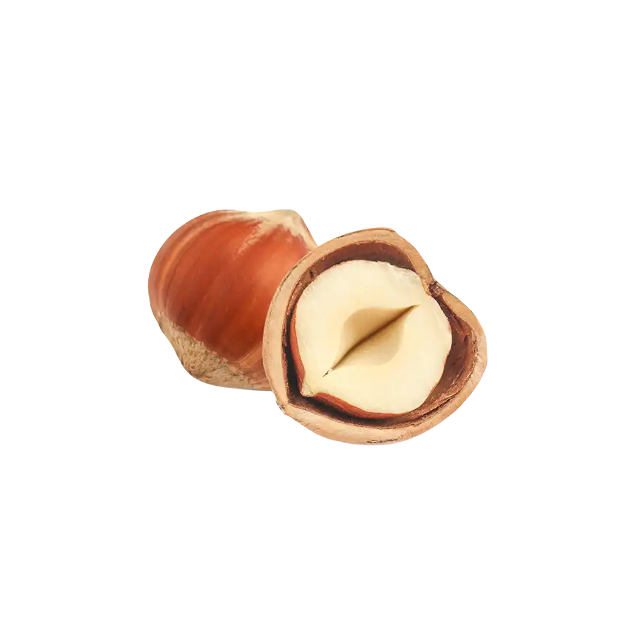 nocciola